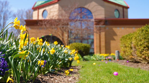 Yellow flowers outside of the Magdalen Chapel on a spring day. Plastic eggs are set up in the grass for an Easter egg hunt event.